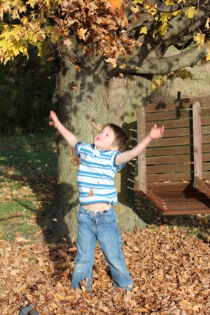 leaves homeschoolbytes